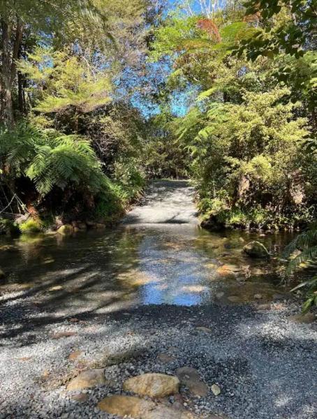 Coromandel Secluded Log Retreat Hikuai